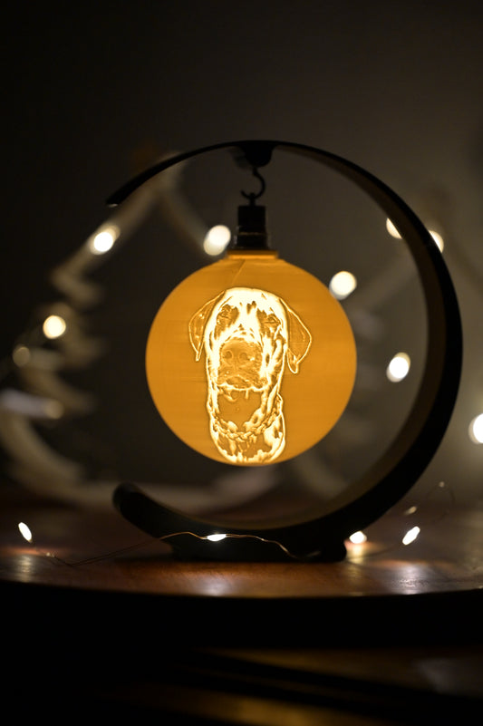 Personalisierte Weihnachtskugel