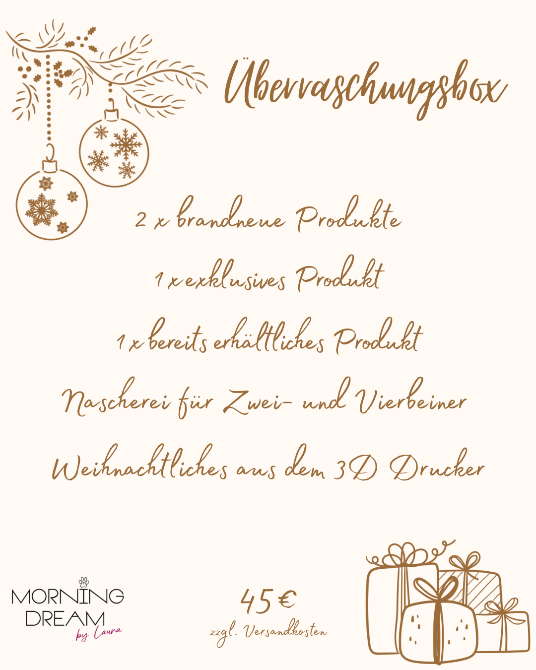 Weihnachtsbox "Überraschungsbox"